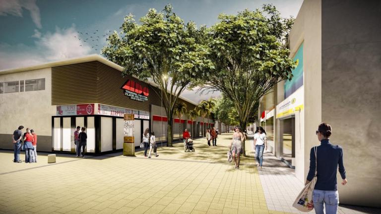 Según el Ayuntamiento de Solidaridad en Quintana Roo, en la modernización de la Quinta Avenida y Parque Fundadores en Playa del Carmen, se duplicará el número de árboles, con la introducción de plantas nativas, privilegiando la preservación de la naturaleza,